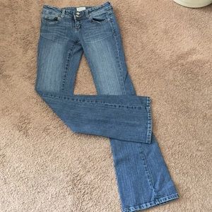 Boot cut Hailey Flare Aeropostale jeans